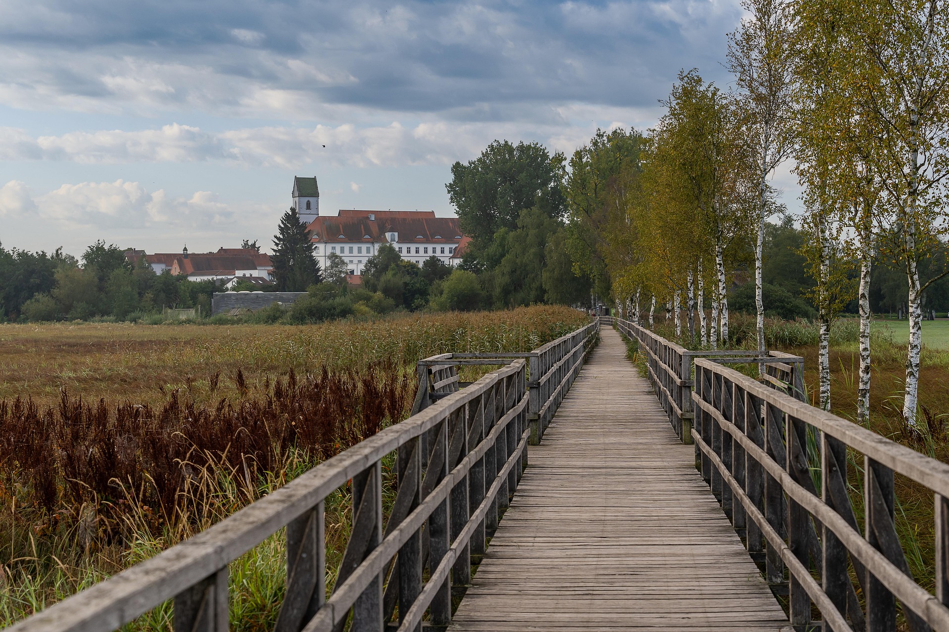 Federsee