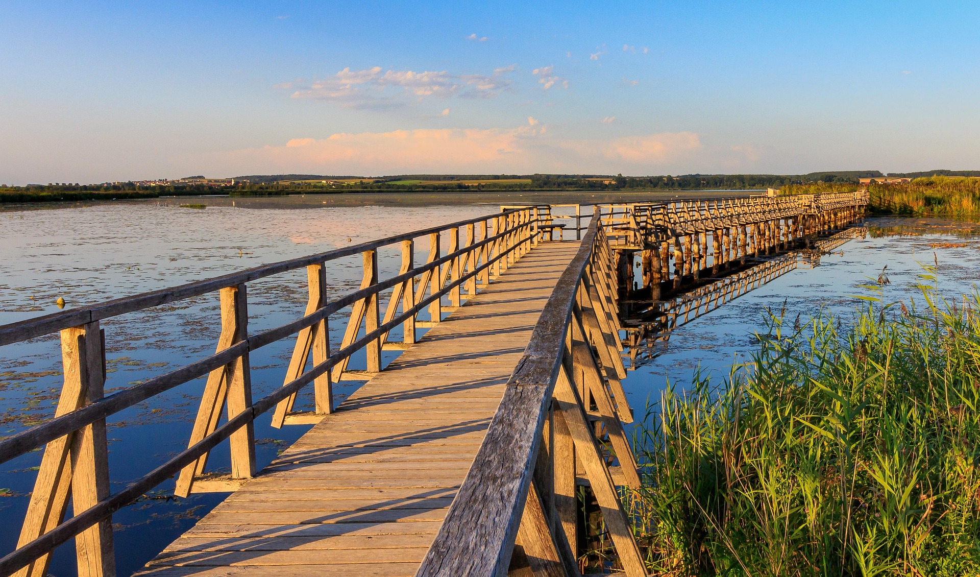 Federsee